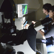 Confocal Laser Scanning Microscope (Clsm)