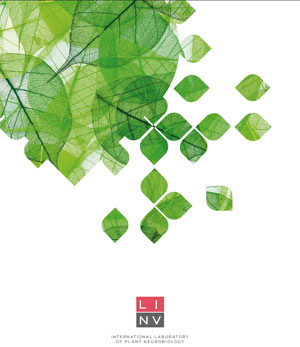 Download our Brochure (PDF)
