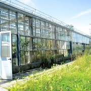 Growth Chamber Greenhouse