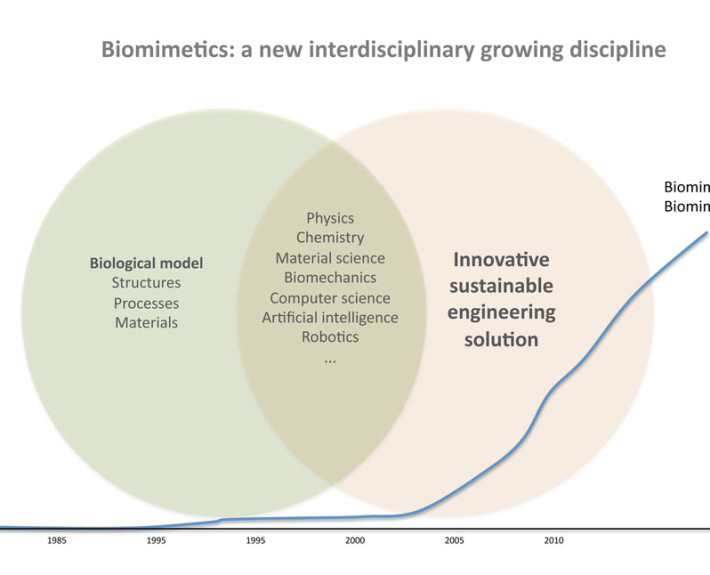Biomimetics